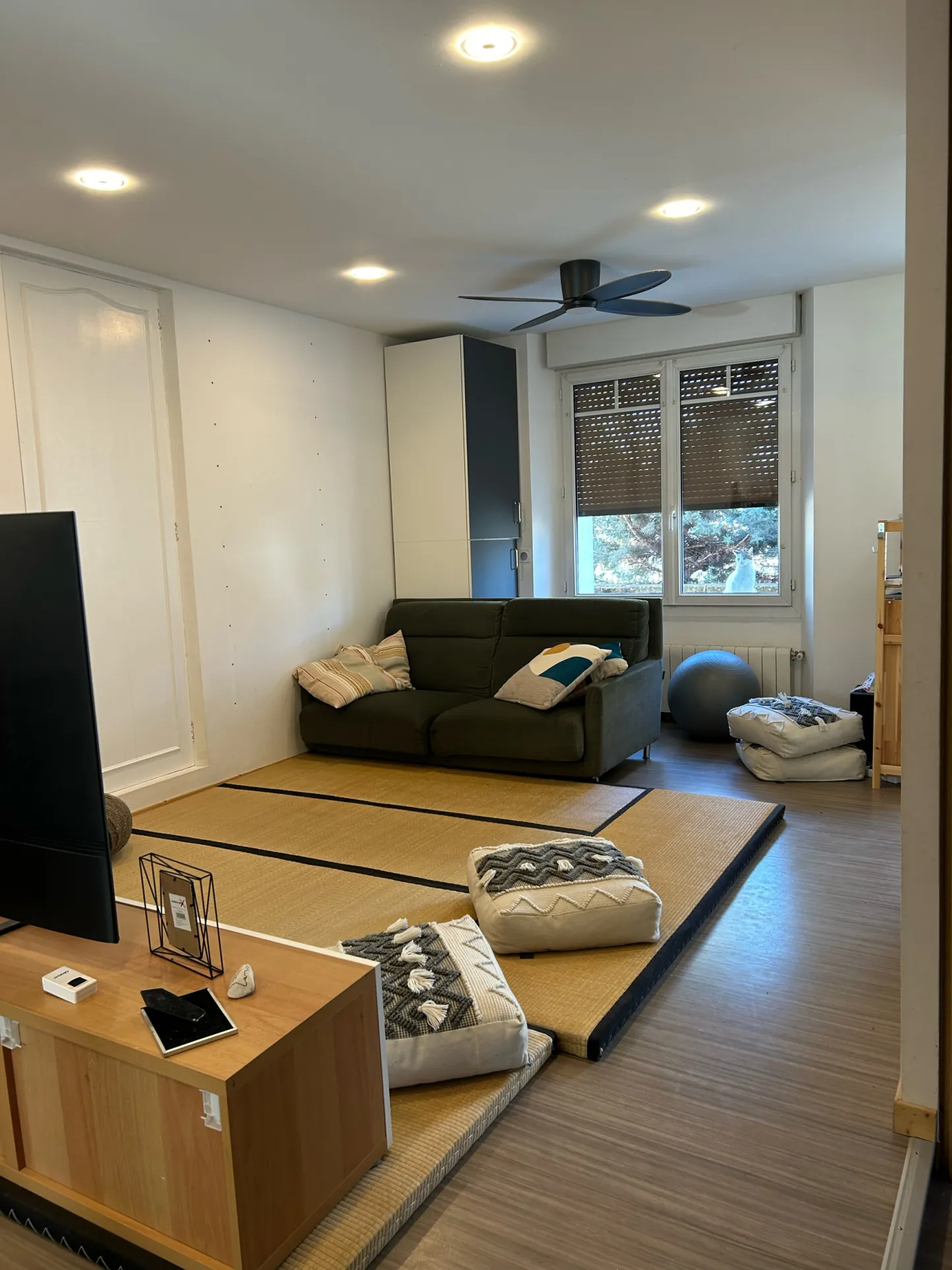 Maison individuelle à vendre à Romans-sur-Isère offrant confort et modernité 