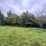 Terrain constructible de 1160 m² à Montlhéry – Emplacement privilégié et environnement boisé
