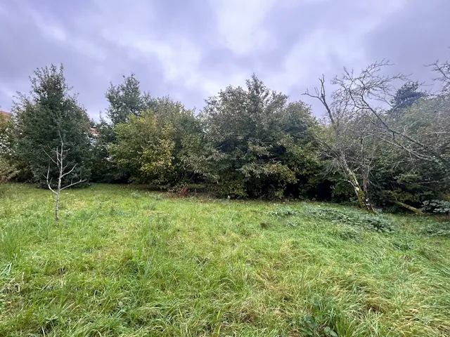 Terrain constructible de 1160 m² à Montlhéry – Emplacement privilégié et environnement boisé 