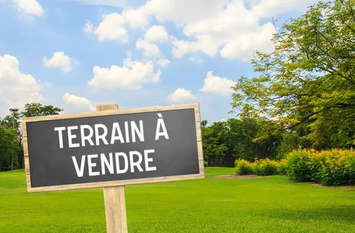 Terrain constructible de 1160 m² à Montlhéry – Emplacement privilégié et environnement boisé 