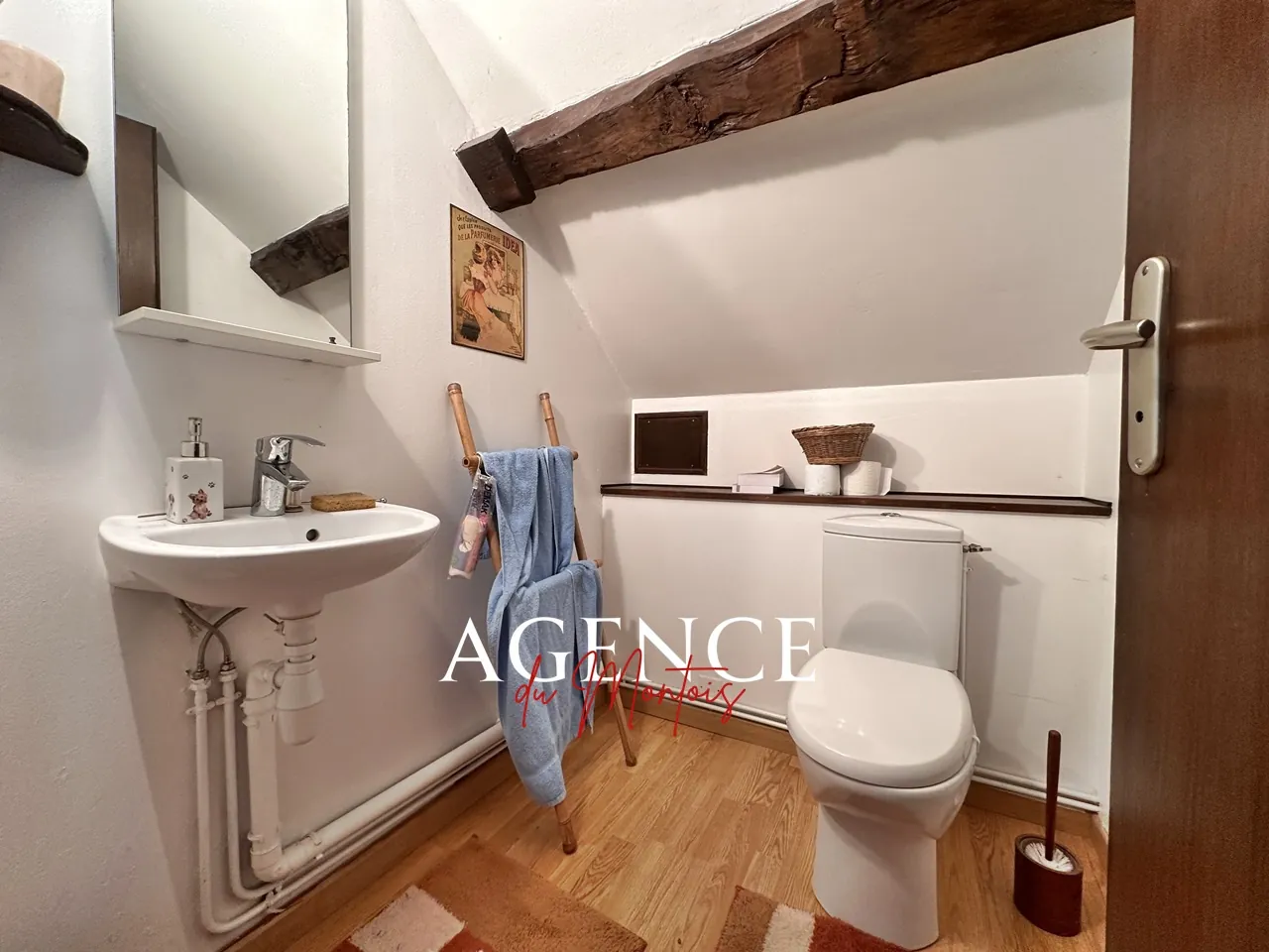Charmante maison villageoise à Bray-sur-Seine avec jardin et garage 