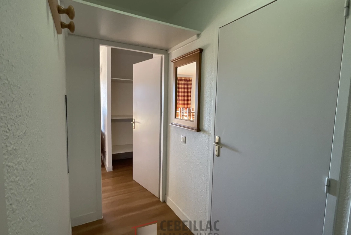 Appartement T2 à Vendre à Besse-et-Saint-Anastaise - Vue Monts d’Auvergne 