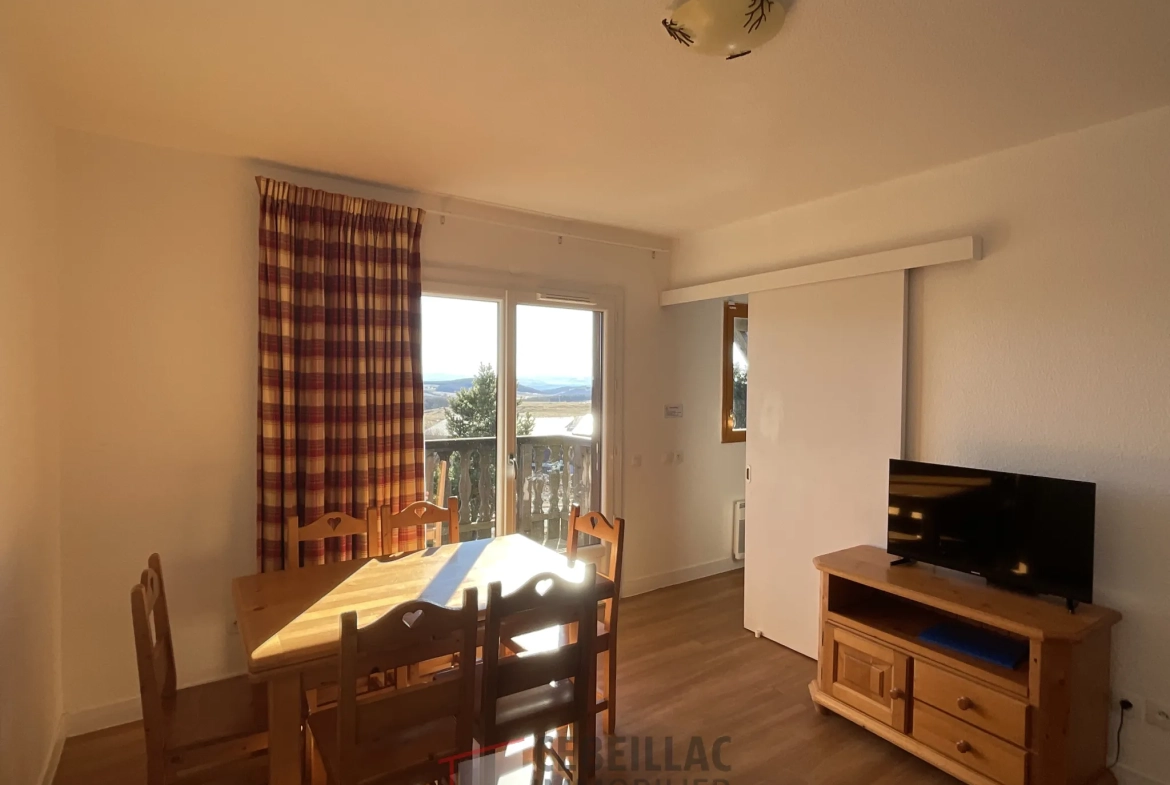 Appartement T2 à Vendre à Besse-et-Saint-Anastaise - Vue Monts d’Auvergne 