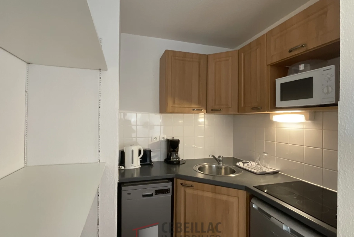 Appartement T2 à Vendre à Besse-et-Saint-Anastaise - Vue Monts d’Auvergne 