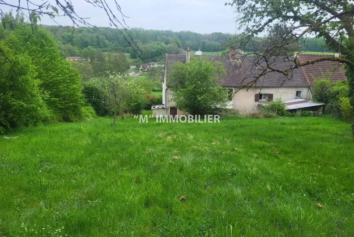 Charmante maison briarde avec jardin proche de Charly-sur-Marne - potentiel familial 