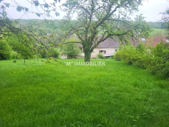 Charmante maison briarde avec jardin proche de Charly-sur-Marne - potentiel familial 