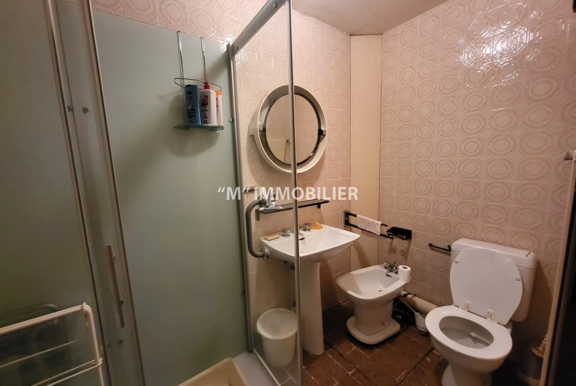Charmante maison briarde avec jardin proche de Charly-sur-Marne - potentiel familial 