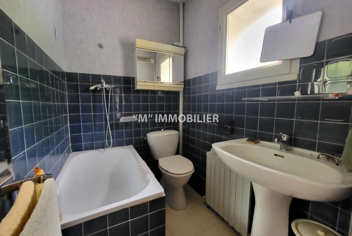 Charmante maison briarde avec jardin proche de Charly-sur-Marne - potentiel familial 