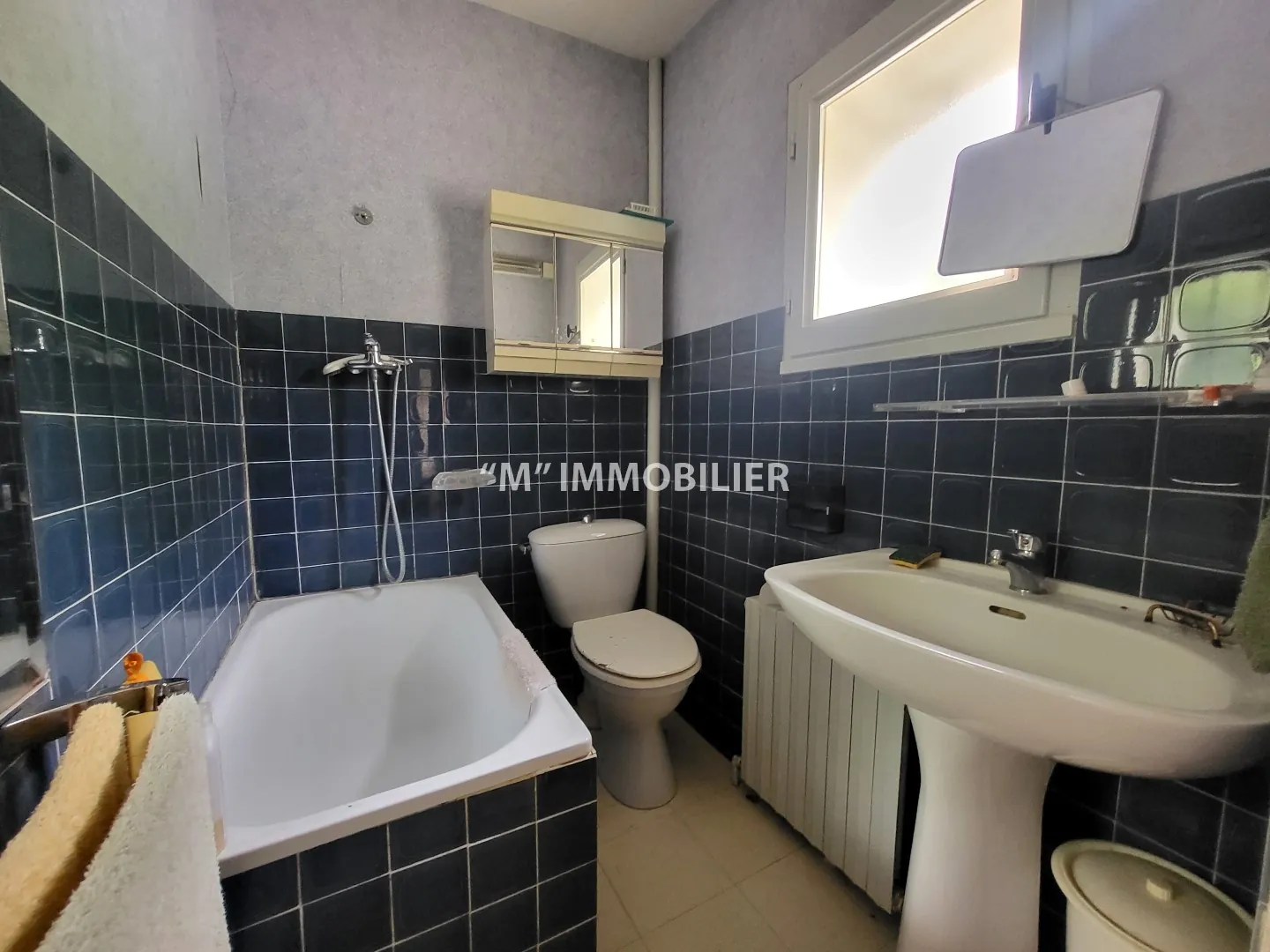 Charmante maison briarde avec jardin proche de Charly-sur-Marne - potentiel familial 