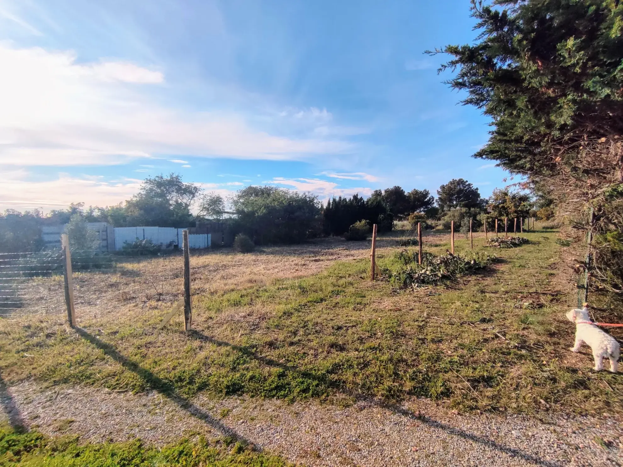 Terrain de Loisirs de 572 m² à Sérignan, à 2 km de la plage de Valras 