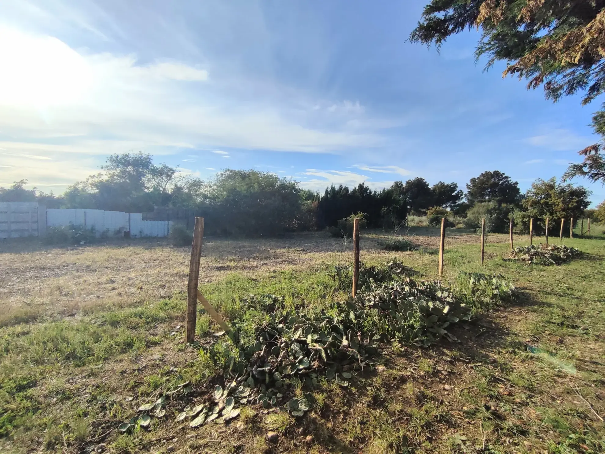Terrain de Loisirs de 572 m² à Sérignan, à 2 km de la plage de Valras 