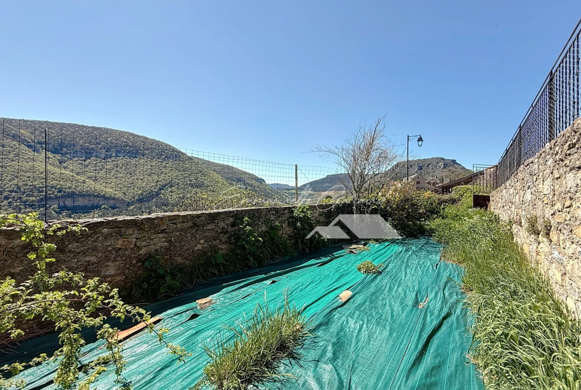 Maison en pierre avec vue spectaculaire et jardin à Mostuejouls, idéale pour nature et tranquillité 