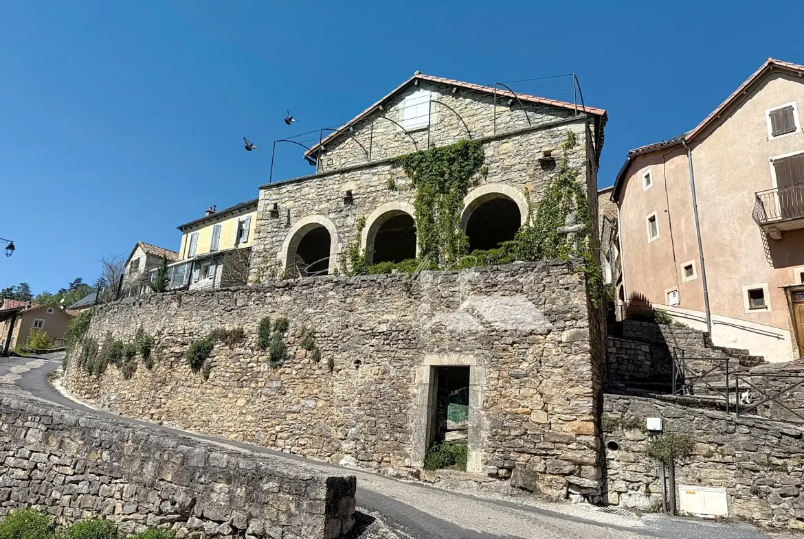 Maison en pierre avec vue spectaculaire et jardin à Mostuejouls, idéale pour nature et tranquillité 