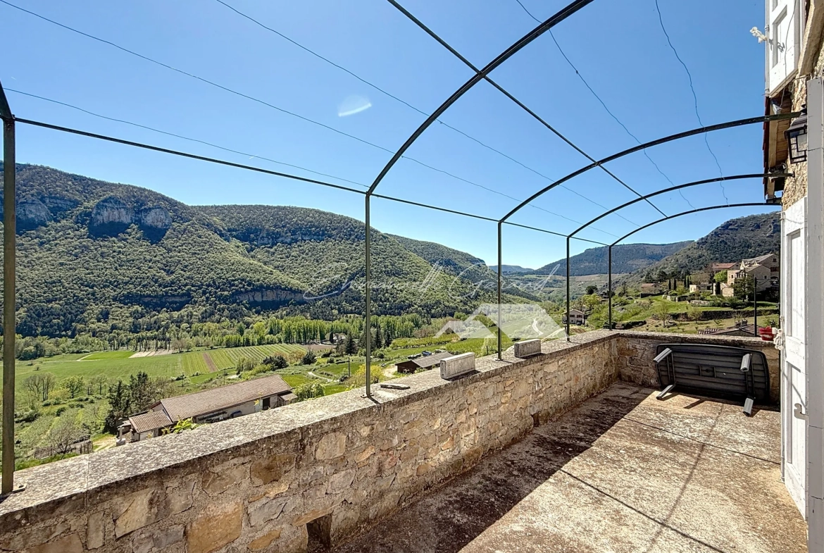 Maison en pierre avec vue spectaculaire et jardin à Mostuejouls, idéale pour nature et tranquillité 