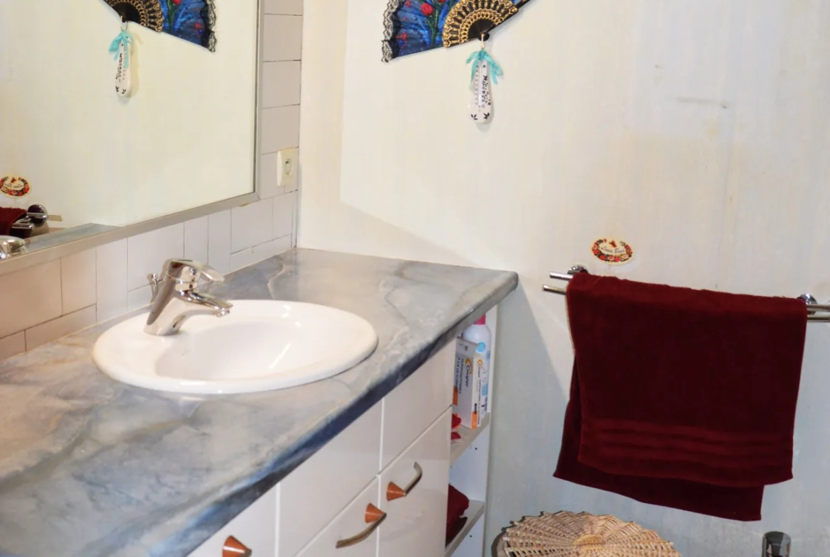 A vendre appartement T3 traversant à Grenoble avec cave et balcon 
