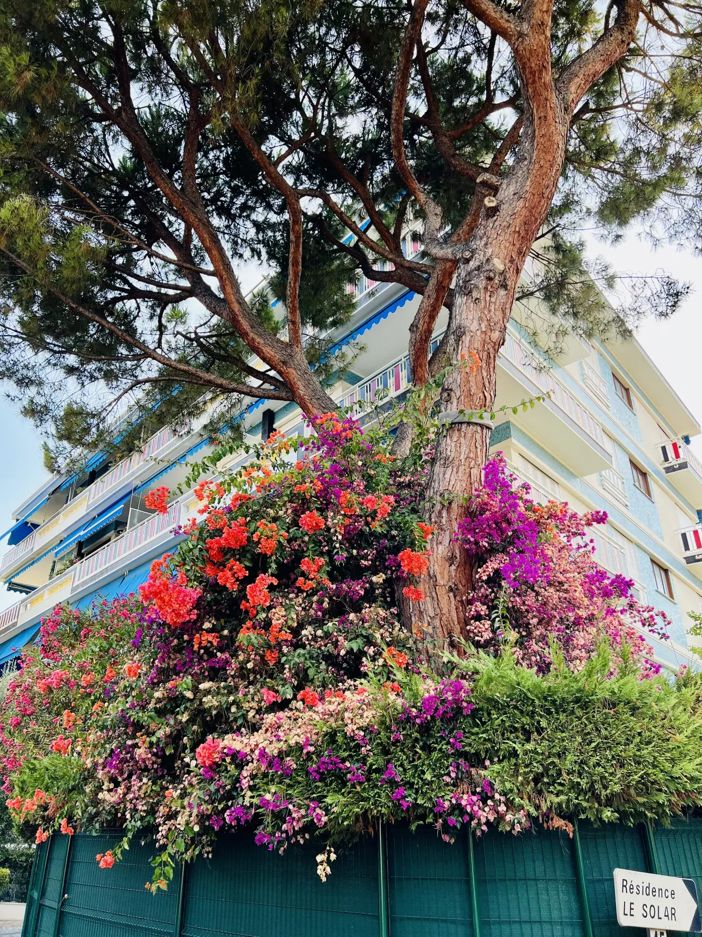 Appartement T2/3 de 65m² avec terrasse à Nice Baumettes - Vue dégagée 