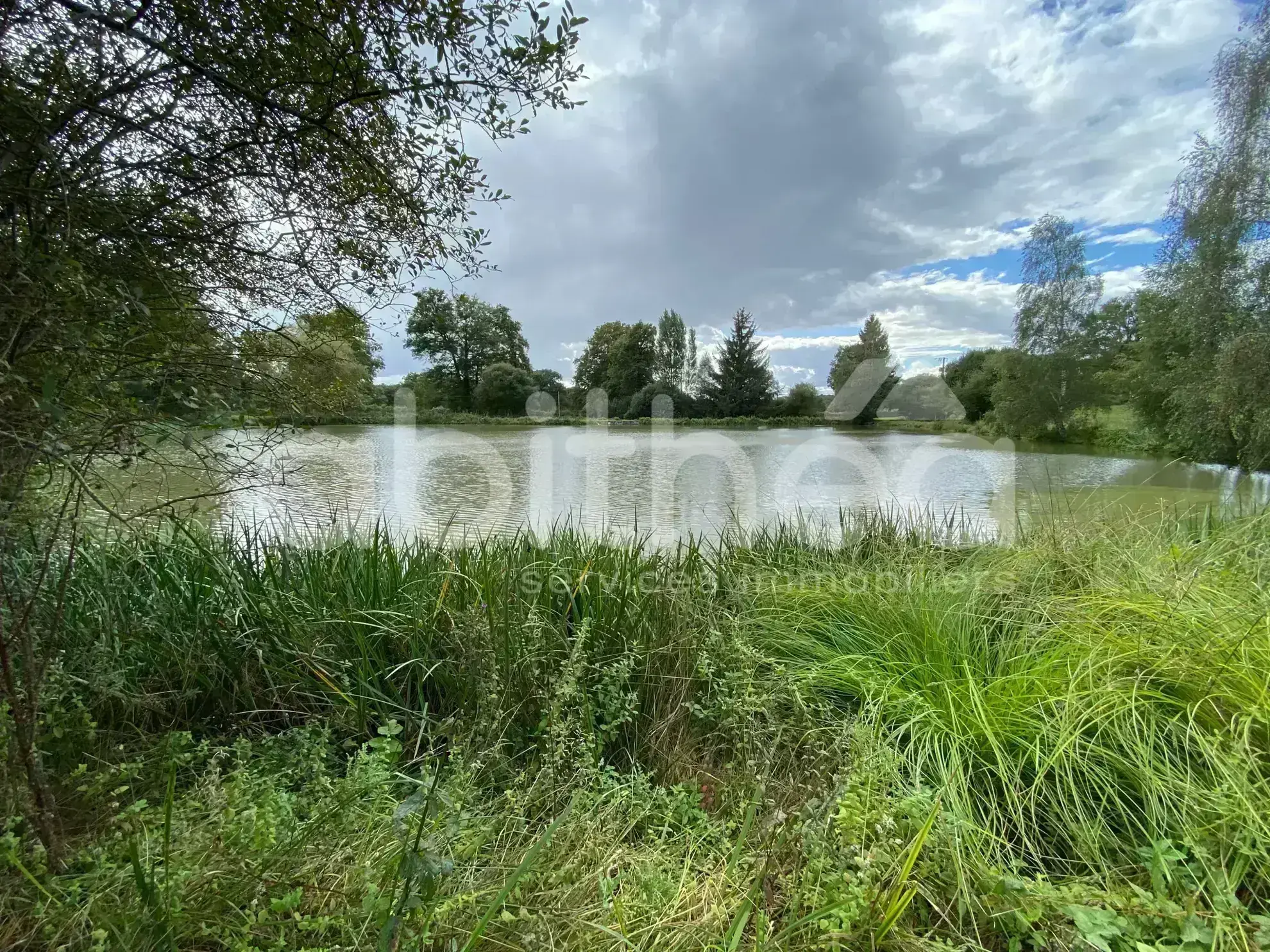 Terrain de Loisirs avec Deux Étangs à Chabrac – Idéal pour la Pêche et la Nature 