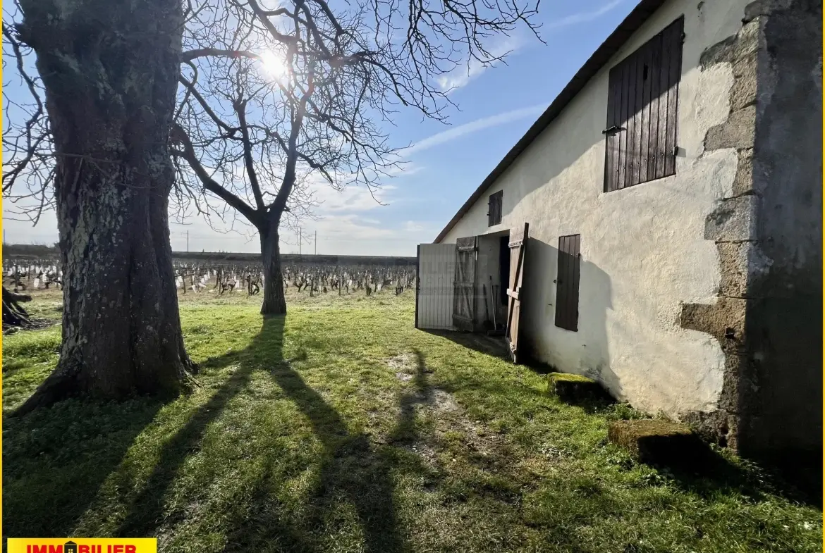 Maison en pierre à Barsac avec jardin et garages, location en place 