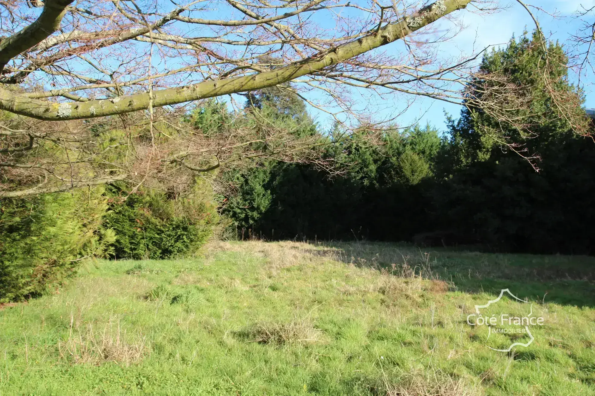 Terrain constructible à Lons (64140) — Opportunité à saisir 
