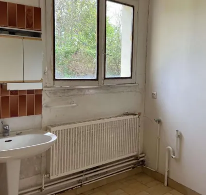 Achat villa 3 chambres à Treigny-Perreuse-Sainte-Colombe - Opportunité à 44 000 € 