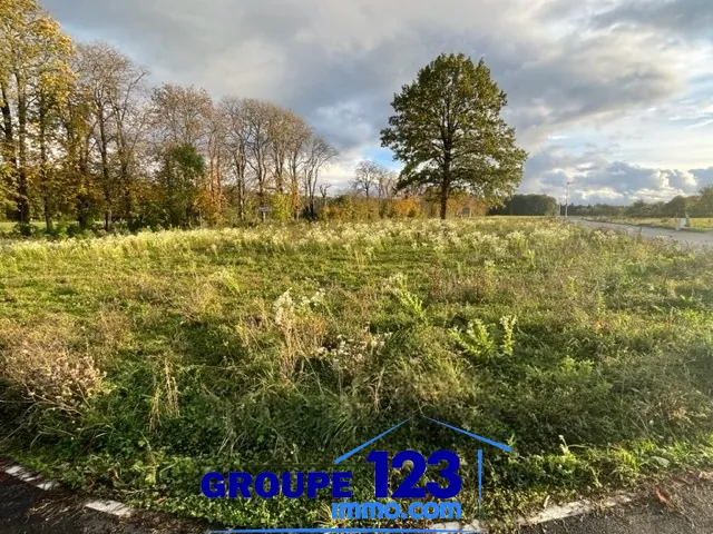Terrain constructible de 530 m² à Seignelay, proche d'Auxerre 