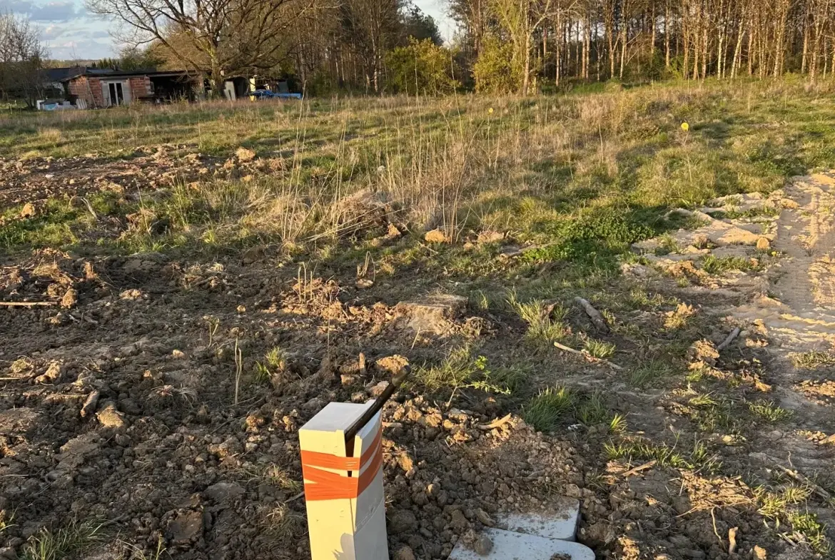 Terrain constructible de 1928 m² à Villematier – Opportunité rare 