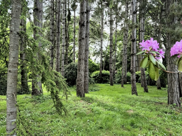 Terrain à bâtir de 1835 m² à Mignaloux-Beauvoir, environnement calme et verdoyant