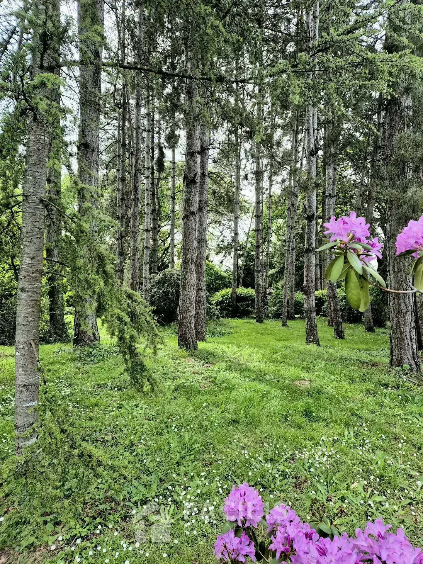 Terrain à bâtir de 1835 m² à Mignaloux-Beauvoir, environnement calme et verdoyant 