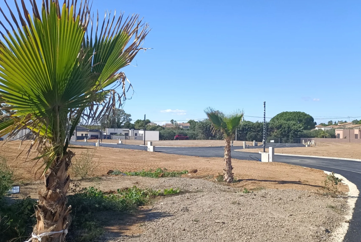 Terrain constructible viabilisé de 205 m² à Pomérols – Opportunité rare 