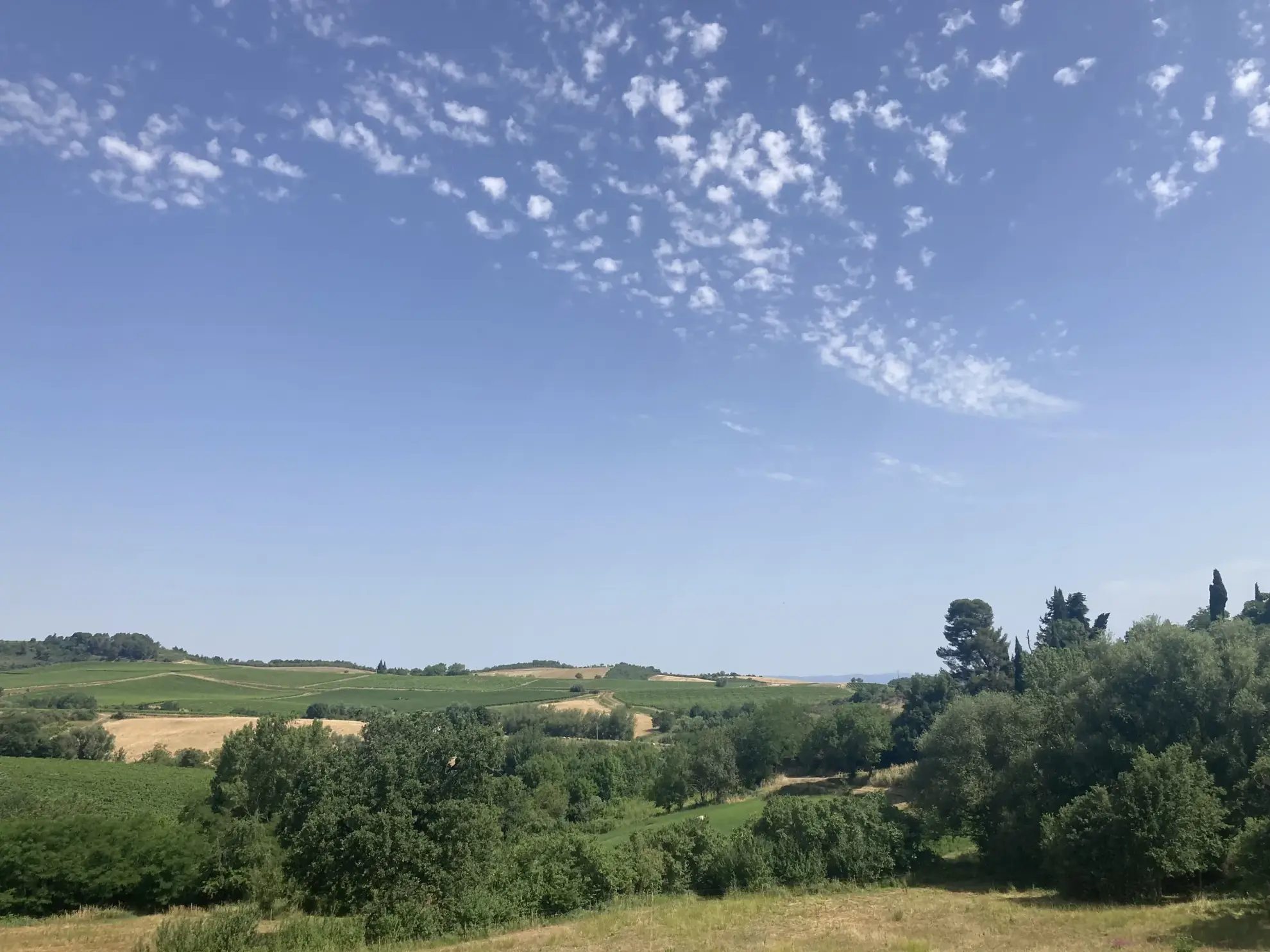 Terrain constructible à vendre à Donazac - Superficie de 1521 m² pour votre projet immobilier 