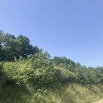 Terrain constructible à vendre à Donazac - Superficie de 1521 m² pour votre projet immobilier
