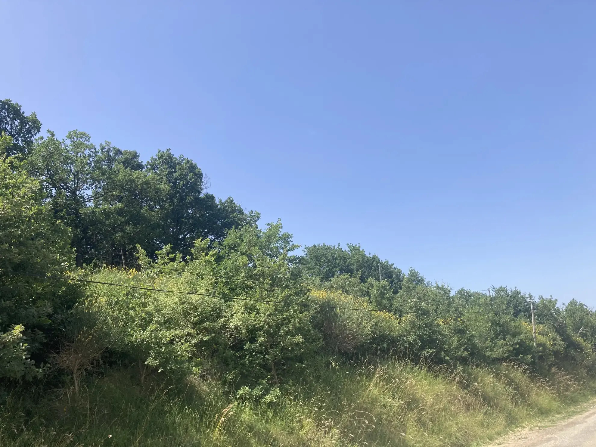 Terrain constructible à vendre à Donazac - Superficie de 1521 m² pour votre projet immobilier 