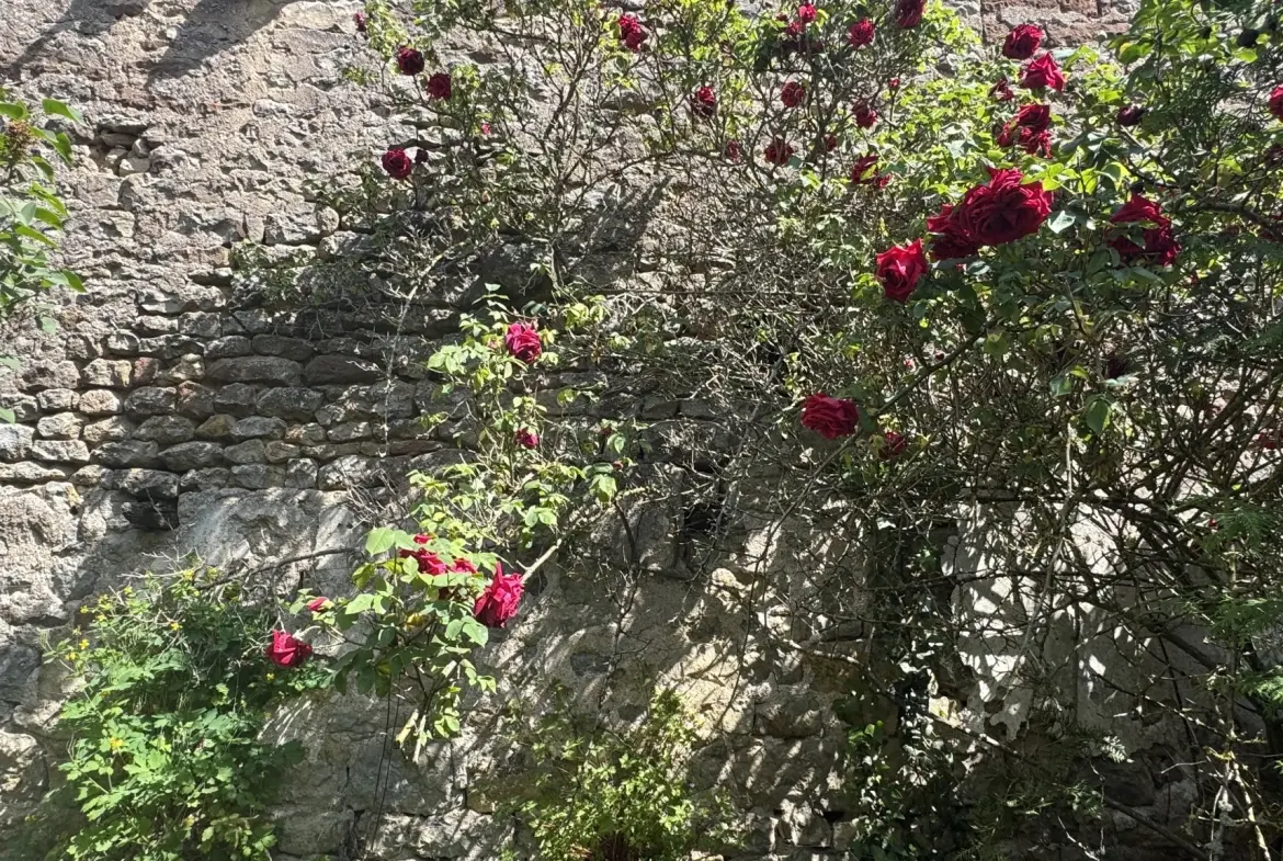 Maison avec dépendance à Guillon (89) - Résidence paisible et lumineuse 