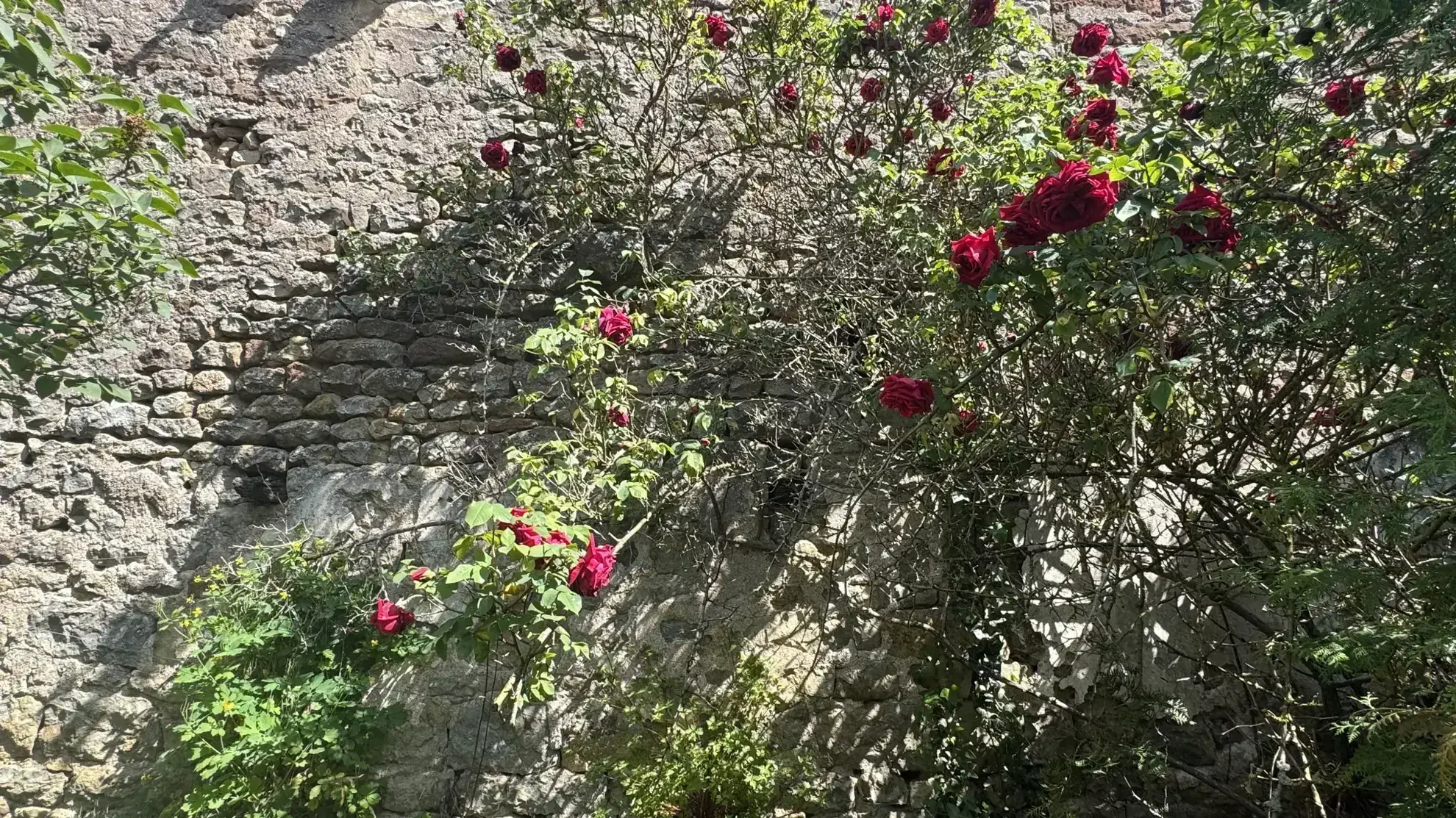 Maison avec dépendance à Guillon (89) - Résidence paisible et lumineuse 