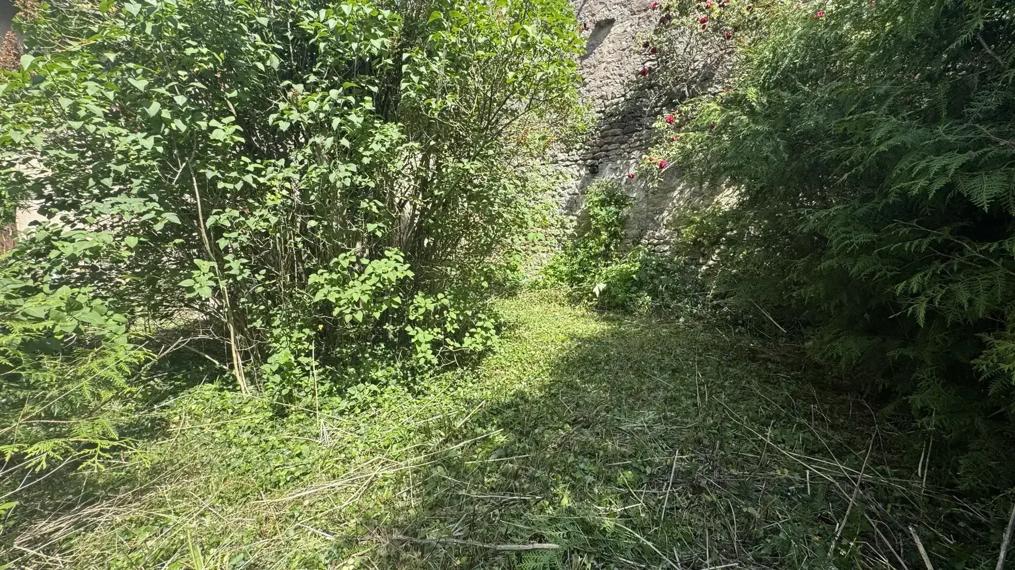 Maison avec dépendance à Guillon (89) - Résidence paisible et lumineuse 