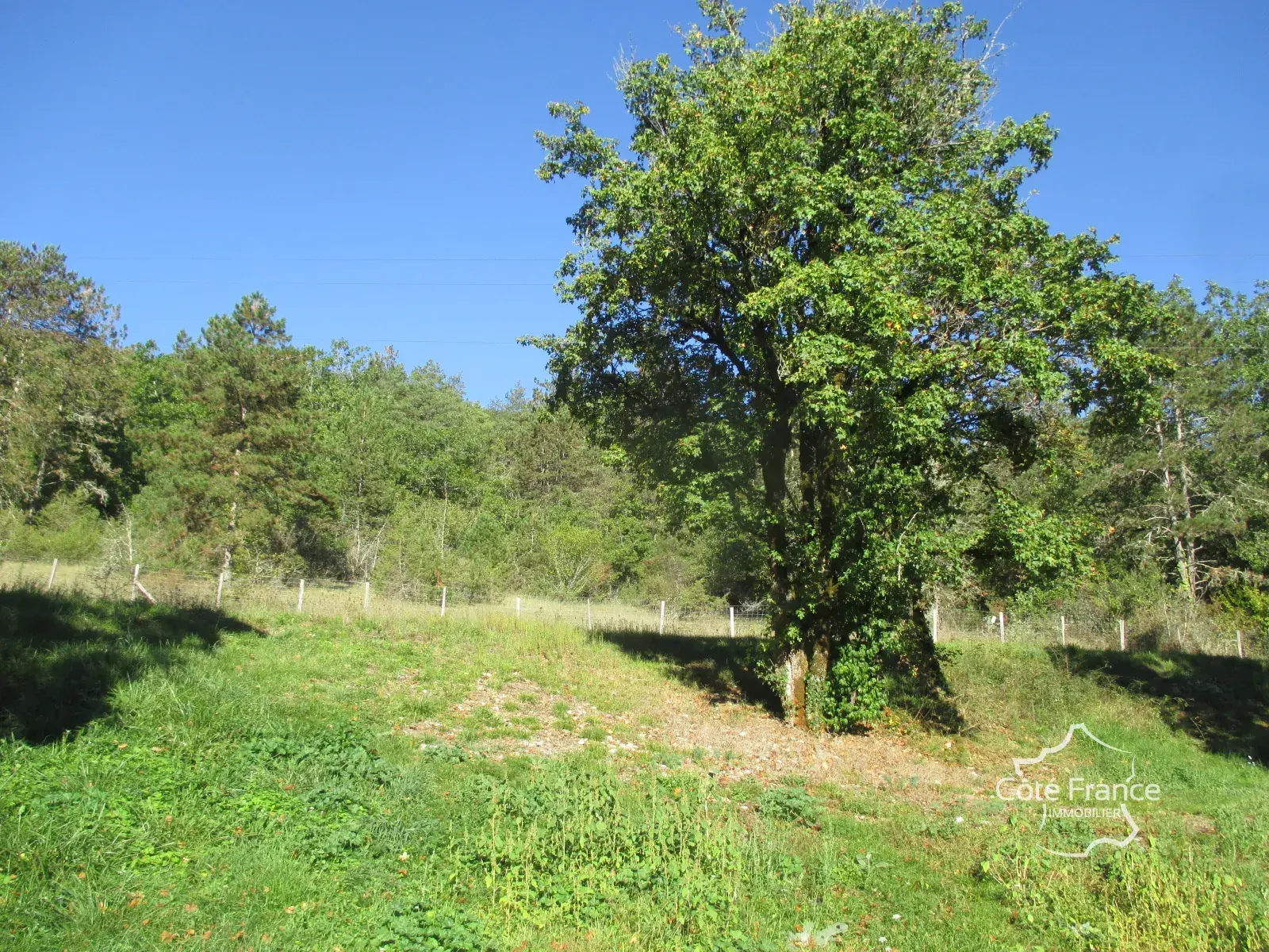 Belle maison à vendre à Coly, ensemble immobilier récent avec dépendances à rénover 