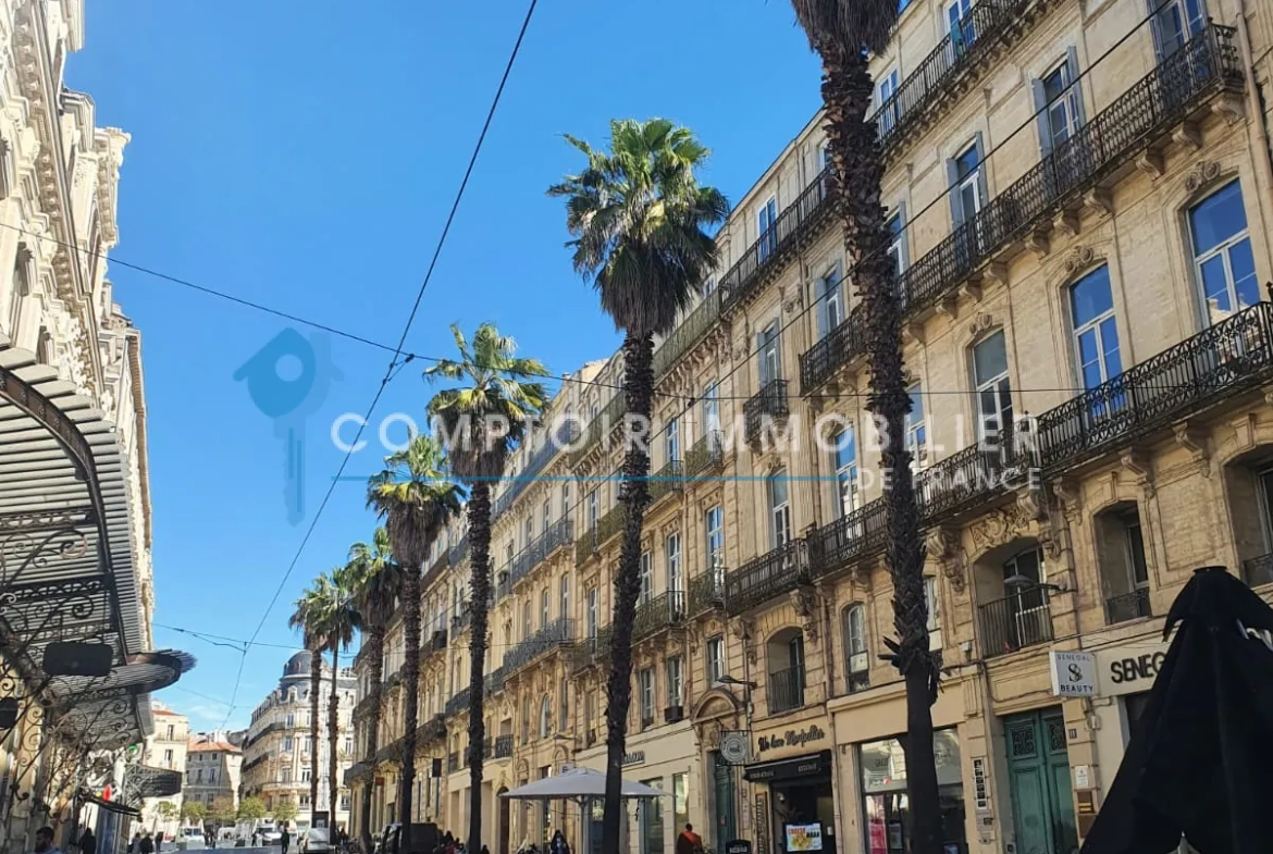Appartement F5 de 112m² avec cachet haussmannien à Montpellier 
