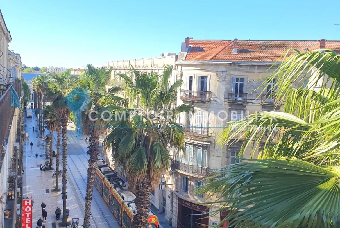Appartement F5 de 112m² avec cachet haussmannien à Montpellier 