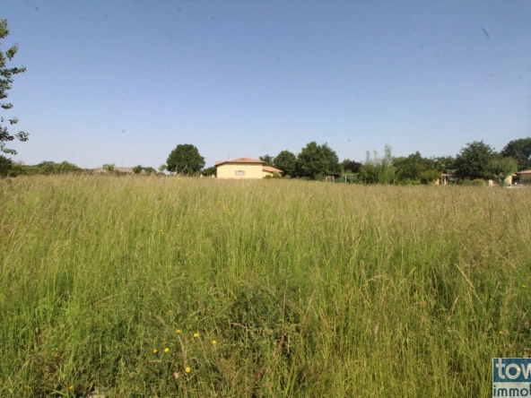 Terrain à vendre à Lavit (82) – 737 m² viabilisé dans un environnement calme