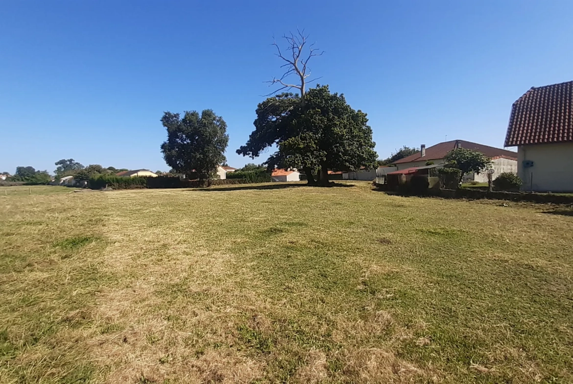 Terrain constructible de 2300 m² à Bours, proche du lac 
