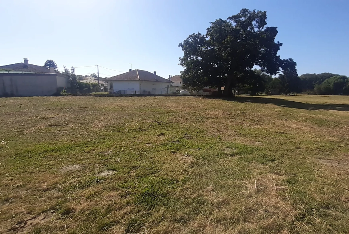Terrain constructible de 2300 m² à Bours, proche du lac 
