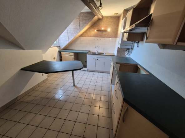 Appartement 3 pièces lumineux de 52 m² à Strasbourg - Idéal premier achat ou investissement 