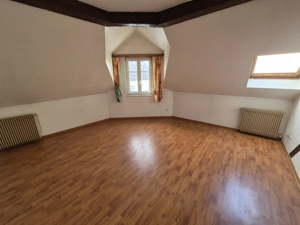 Appartement 3 pièces lumineux de 52 m² à Strasbourg - Idéal premier achat ou investissement 