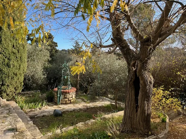 Maison T2 à Nîmes dans le Quartier La Gazelle avec Terrain Arboré 