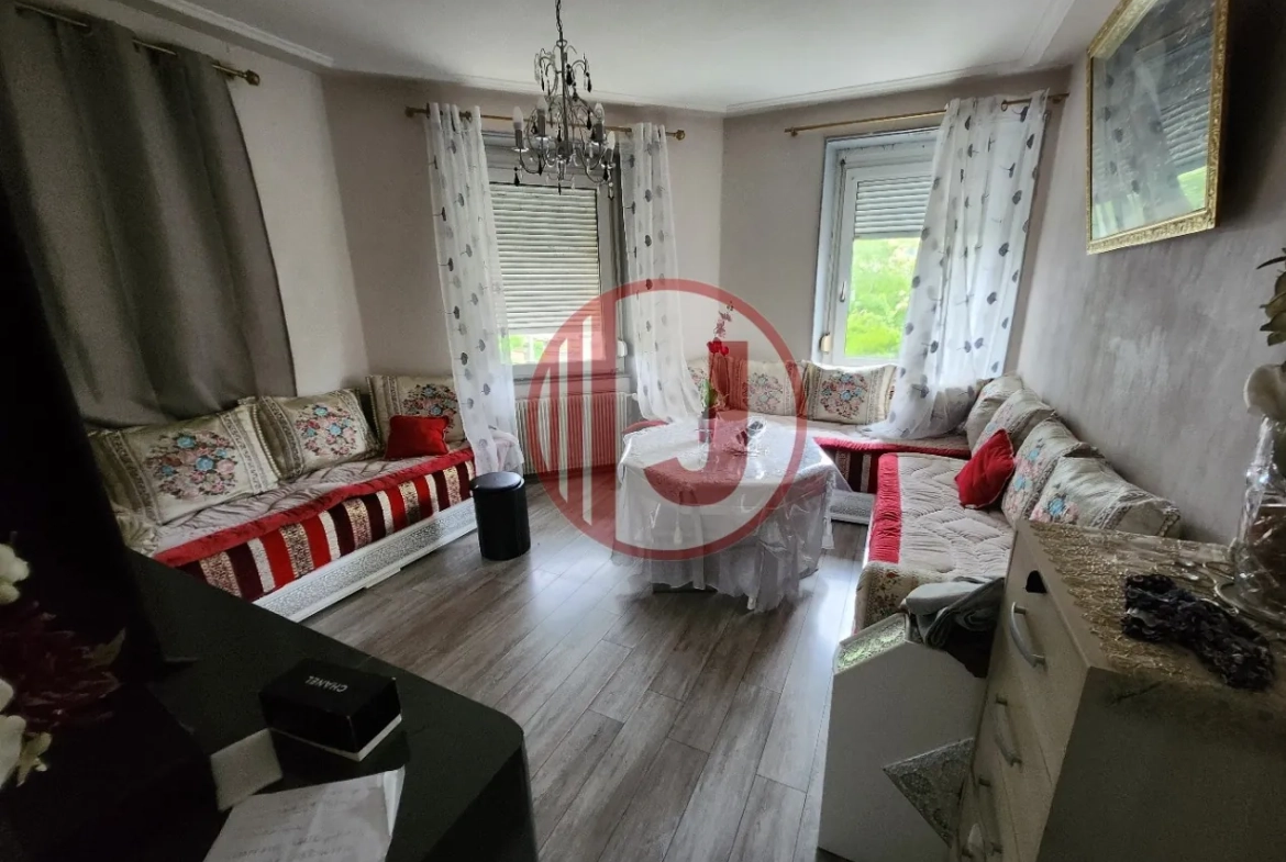 Investissement immobilier à Mulhouse : immeuble de 6 logements avec annexes et potentiel de développement 
