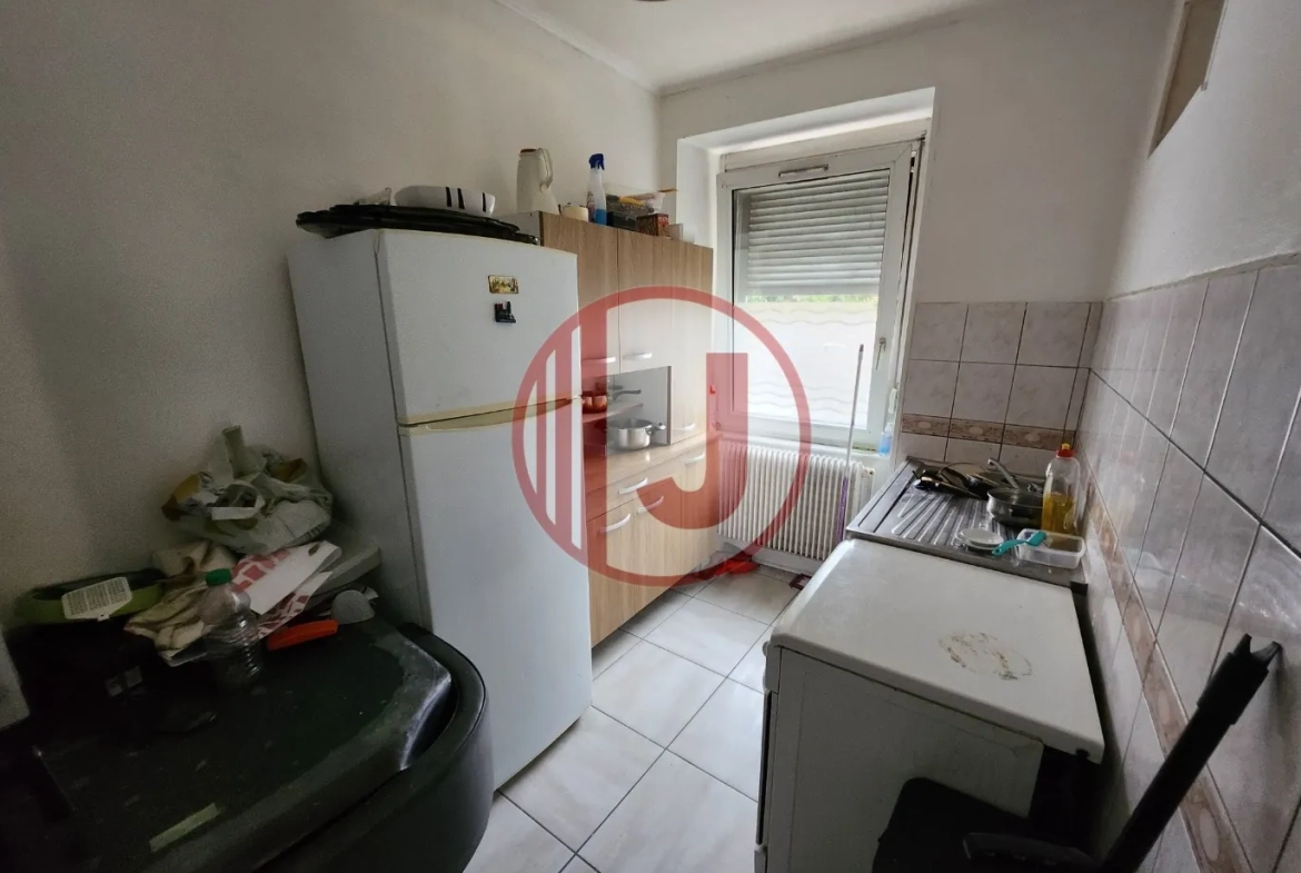 Investissement immobilier à Mulhouse : immeuble de 6 logements avec annexes et potentiel de développement 