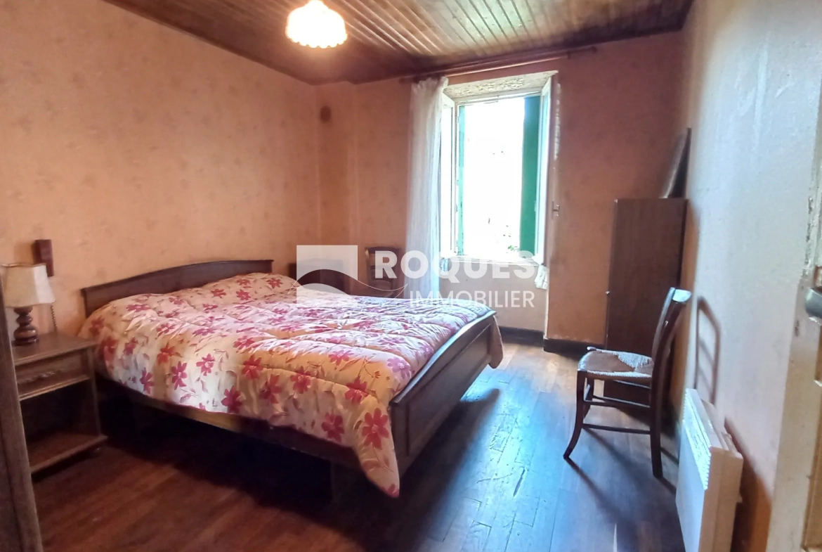 Charmante maison en pierre avec terrasse et jardin à Salles-Curan 