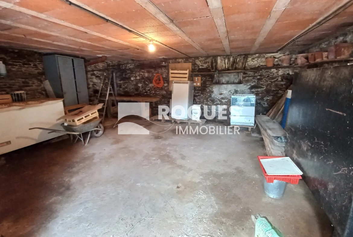 Charmante maison en pierre avec terrasse et jardin à Salles-Curan 