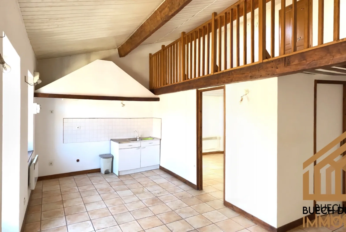Immeuble de 5 logements à Laragne-Montéglin, centre-ville - Opportunité d'investissement 