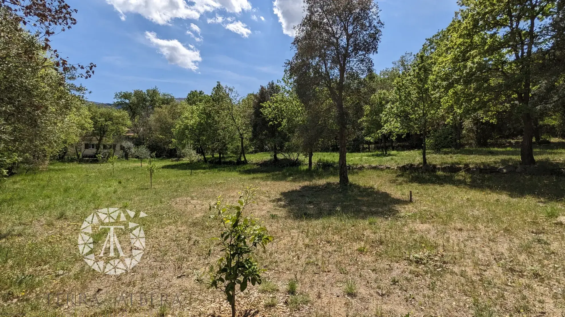 Terrain constructible de plus de 3000 m² à Villelongue-dels-Monts avec vue et calme 